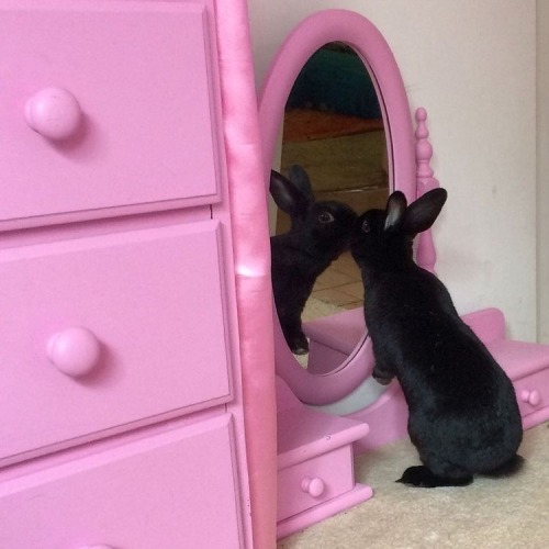 Me Getting Ready In The Morning