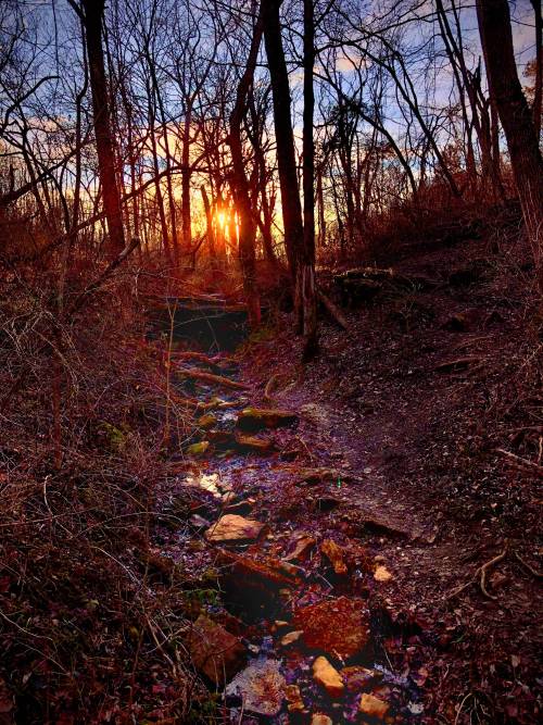 Dried Up Stream, Goshen KY