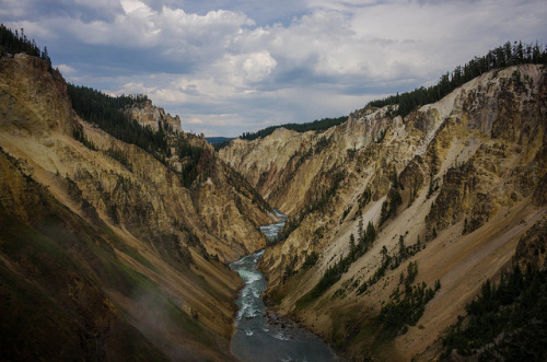rosesinaglass: Yellowstone’s Grand Canyon by Jeff and PJ on Flickr.