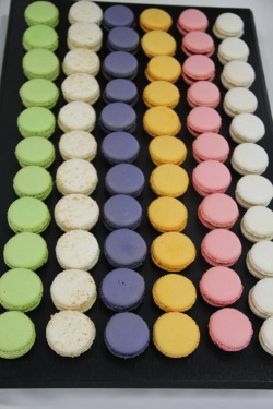 bertrandlegallic:  French macarons flavors: lime, coconut, lavender chocolate, passion fruit, raspberry, vanilla