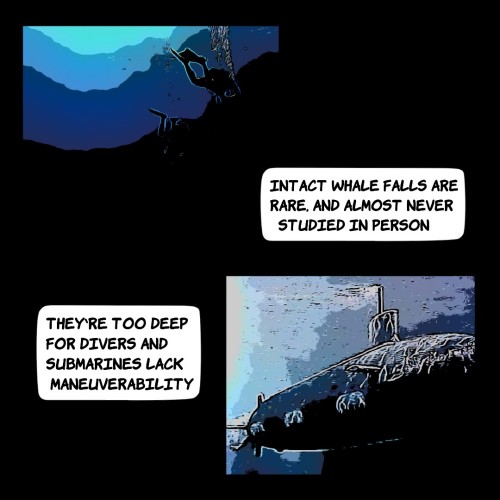 Whalefall, Or What If The Ocean Was Haunted?