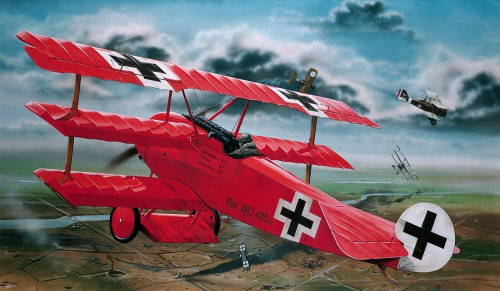 The Bloody Red Baron&rsquo;s traumatic brain injury, The issue of head trauma and brain injury has b