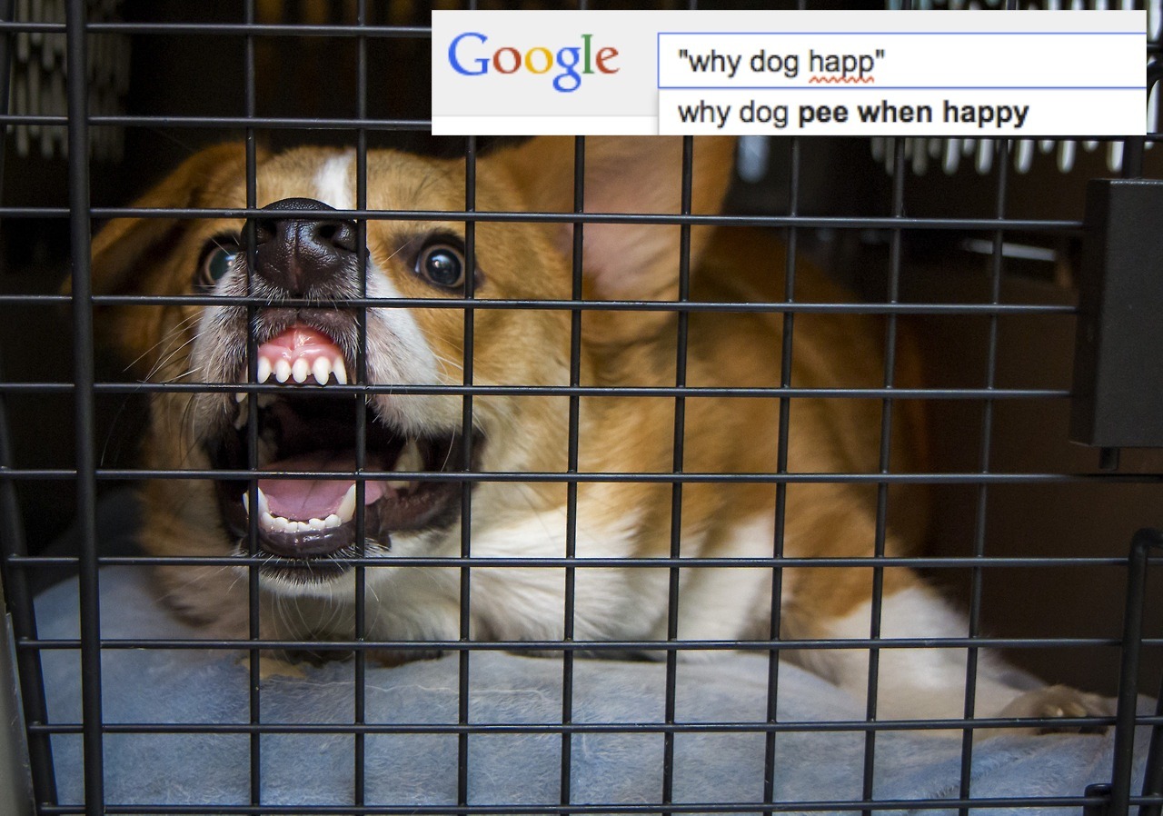 machetecorgez:  a-lotte:  I got on google and found a bunch of incredible search