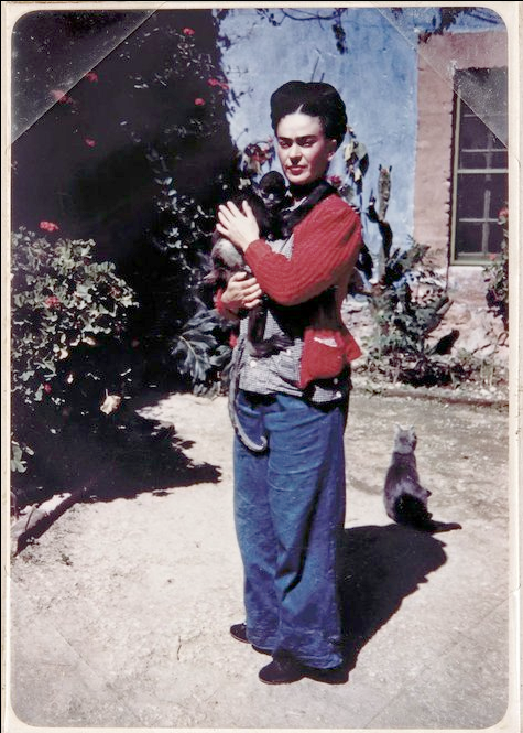 **the top image is of Frida Khalo’s eye**Frida Kahlo: Her Photos, 240 images from her personal