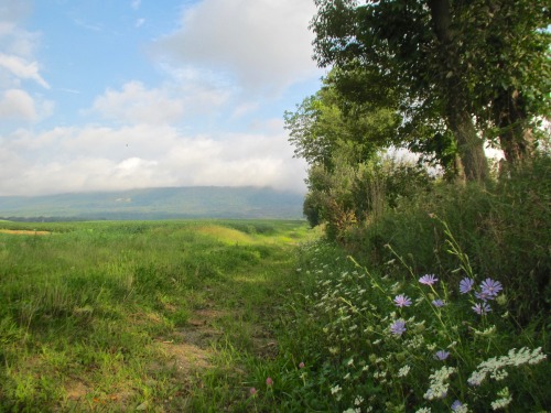 geopsych: I walked this trail back to the ridge many times when I was younger.