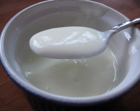 Make Your Own Yogurt