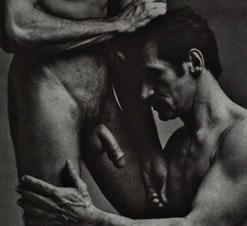 toineaunaturel:  couples 