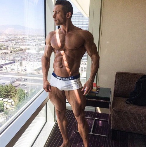 Adonis Files