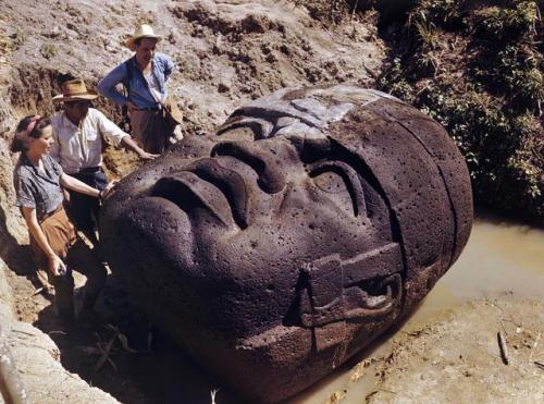 historicaltimes:Archaeologists study a colossal Olmec stone head in La Venta, Mexico, 1947. via redd