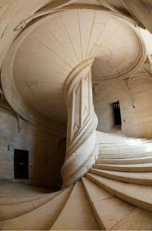 everythingstarstuff:    A spiral staircase designed by Leonardo da Vinci in the year 1516.  