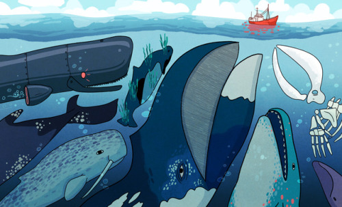 Illustration for The Atlantic, on the enduring mystery of whales and human’s long and fraught relati