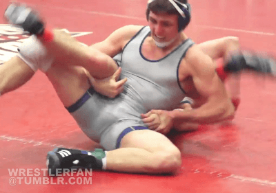 Why We Wrestle