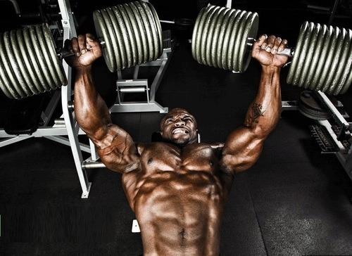  Each bodybuilder familiar with the situation, when you begin to engage in the new
