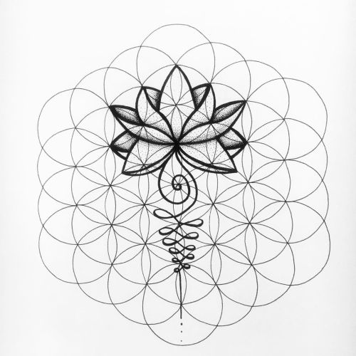 Lotus flower of life #sacredgeometry #sacredgeometrytattoo #fineliner #finelinerart #lotusflower #lo