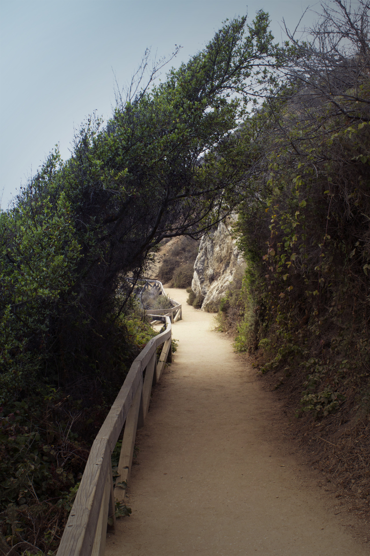 vhord:  digitalpulse:  Path by: digitalpulse   strictly nature