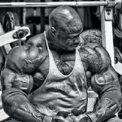 drwannabe:  Ronnie Coleman