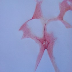 ismaelguerrier: Soft Pink #2 (Color pencil on paper) Instagram: ismael.guerrier.art Facebook: ismael.guerrier.art 