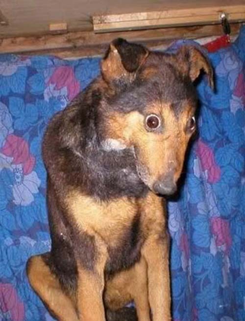 I´ve been Expecting you