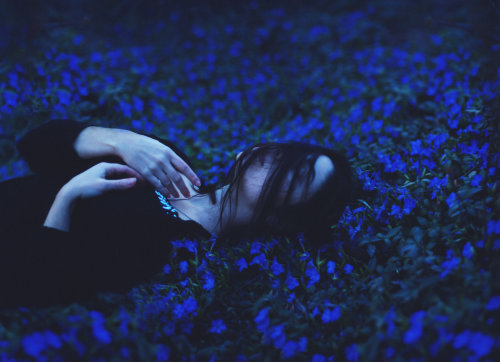 of stars and shadows.