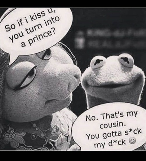 damn Kermit