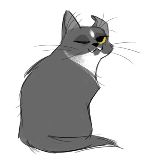 dailycatdrawings:447: Cat napGaston woke up from his late night nap and gave me this look. Of c