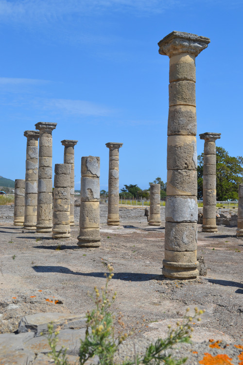 freeassortment: A few more of Baelo Claudia, the Roman ruins, close to Tarifa, southern Spain. Thank