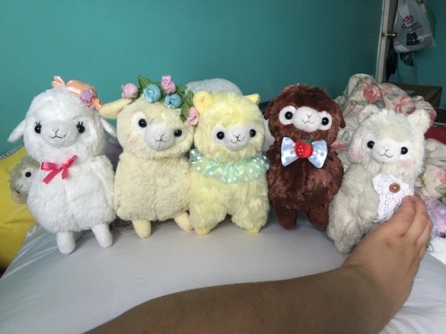 Alpacasso Sales Post!! A bunch of stuff for sale XD  Pm me for details on pricing and sizes because 