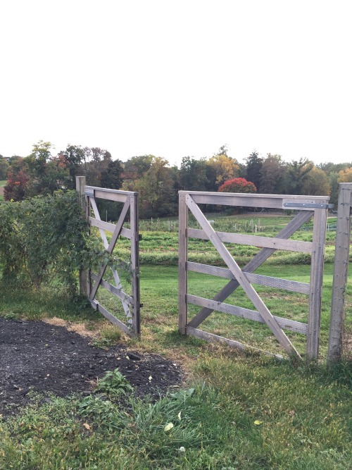 Blue Hill At Stone Barns, By Day.