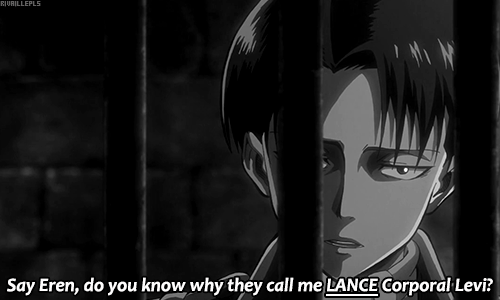 rivaillepls:  GODDAMMIT LEVI can't stop won't stop     