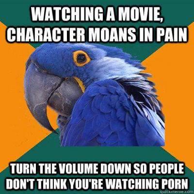 jackiereblogsthis: garbagepossum:  ithelpstodream:  paranoid parrot  Holy shit I normally ignore these memes but I literally do all of these things. The fact that this parrot knows me is making me nervous.  I’m a fucking paranoid parrot. 