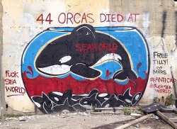 flowerfingers:Don’t support sea world