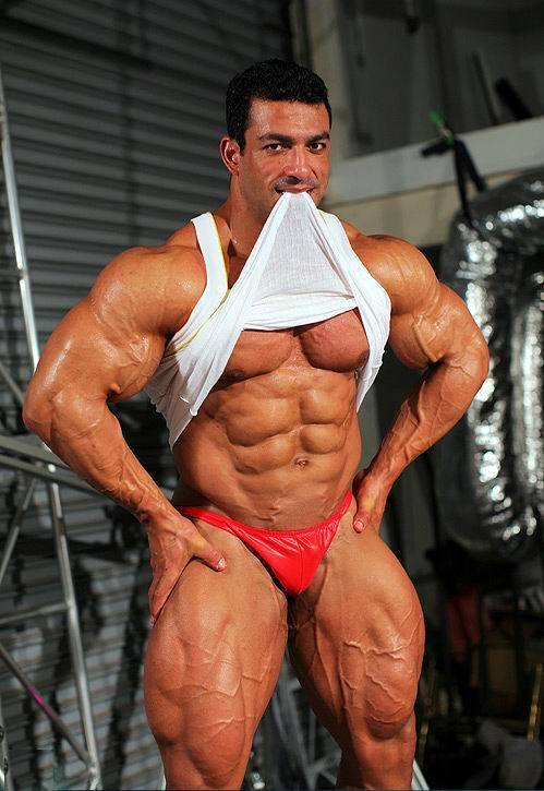 the-swole-strip:  tarek elsetouhi http://the-swole-strip.tumblr.com/  One very handsome, muscular, sexy looking man  Put together just right.