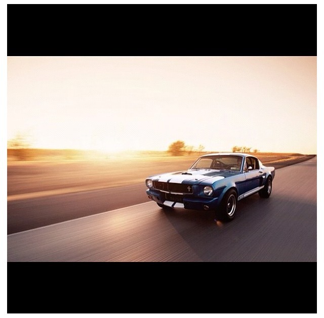 Mustang.