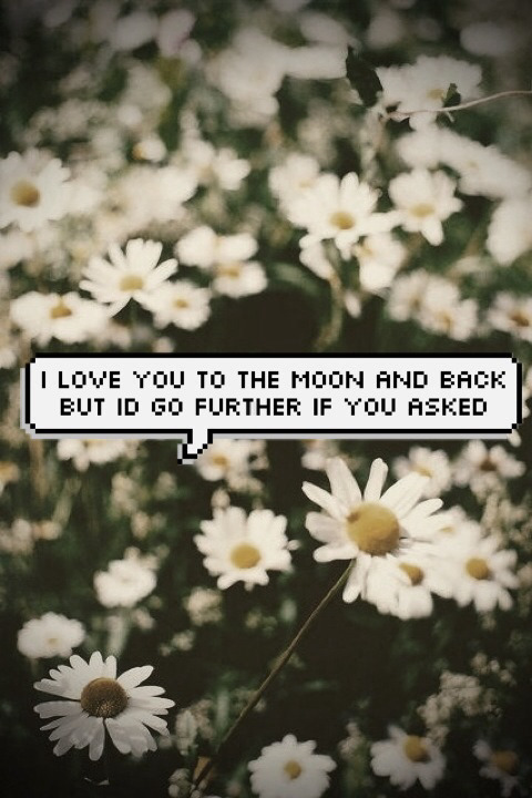adrianapf:  🌼 on We Heart It - http://weheartit.com/entry/115153839