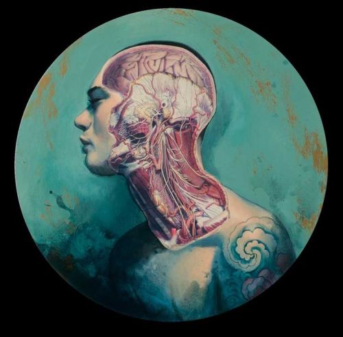 Fernando Vincente anatomical art.