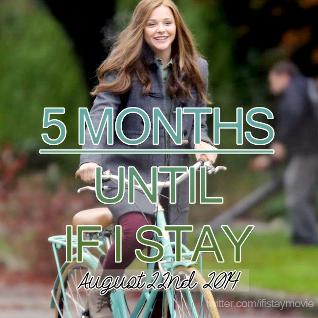 ifistaymovie:
“ IF I STAY opens in theaters AUGUST 22, 2014. #5MonthsAway
Reblog if you’re as excited to see this movie as we are!
”
YA movie with a book by a cool lady about a cool lady?
… yes you could say I’m excited. ;)