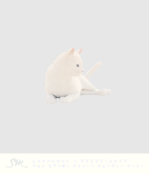 私は猫です
