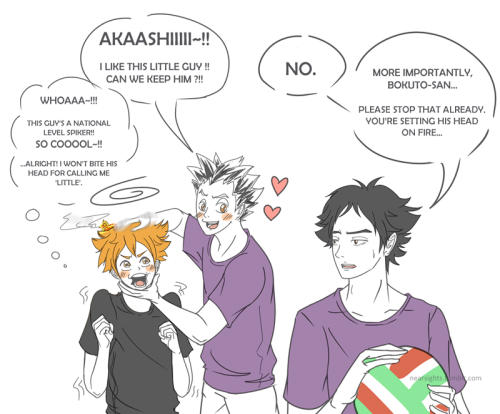 nearsights:  papa and mama owls, and one baby crow~ ♥!! haha I was going through a haikyuu withdrawal since last week, so I checked the raws… and guess what’s my new favorite thing ever~?!