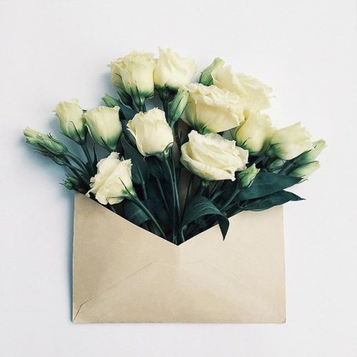 floralls:  envelope series I by anna remarchuk        