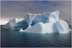 Intricate Antarctic art