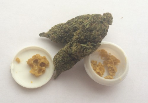 orphanalien:  Golden ticket on the left, triple diesel in the middle, jack flash to the right 