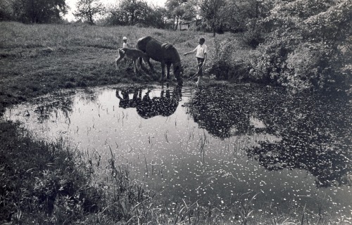 sjowee:  fotojournalismus:  Žydėjimas, Blossom (1974–1984) Photographs by Romualdas Rakauskas  these