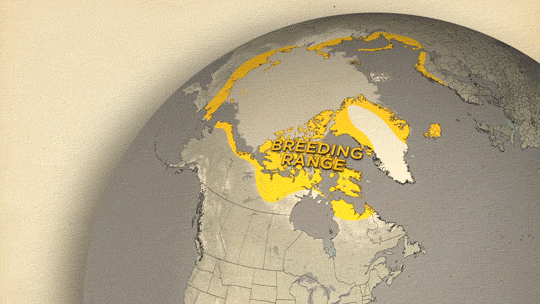 skunkbear:  Thanks to cutting edge tracking technology, Baltimore is probably the