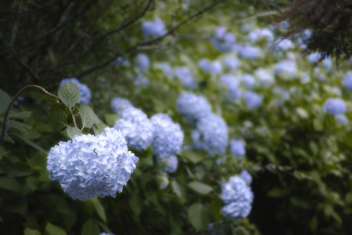 ➀ | ➁ | Kazuhito Sakai(Do not remove credits)