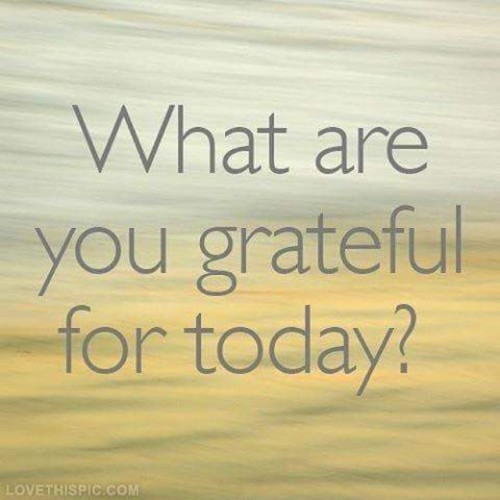 mgatyourservice:  #GoodAfternoon #ThankfulThursday:  Family and I are awake on this beautiful day.  I am grateful!