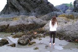 Dayzea:  Shi Shi Beach, Washington. This Place Was A Wonderland Thriving With Life