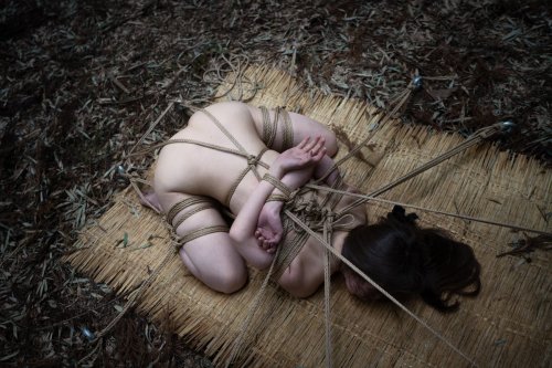 justscreenshots:  Shibari &amp; Photo Kasukabe Kitaro