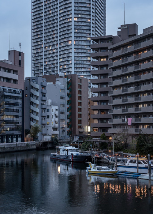 tsukarikata:sandman-kk:Minato, Tokyo. March 2021. 12060(via 2021-05 - Sandman-KK)  桜公園