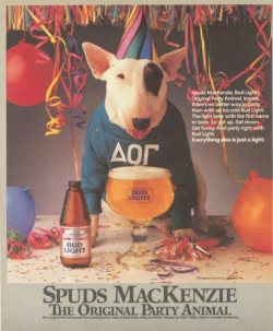 piratetreasure:  spuds mackenzie the original party animal  Best