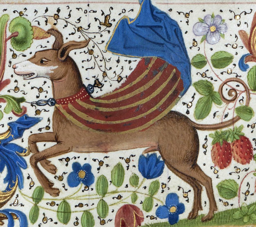 superdogFroissart&rsquo;s Chronicles, Bruges ca. 1470-1475Paris, BnF, Français 2643, fol. 312v